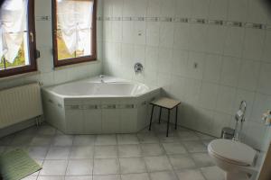 a bathroom with a tub and a toilet at Ferienwohnung Rochlitzer Berg Blick 