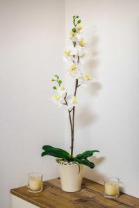 a plant in a pot on a table with two candles at Appartement Gimpl in Fusch an der Glocknerstraße
