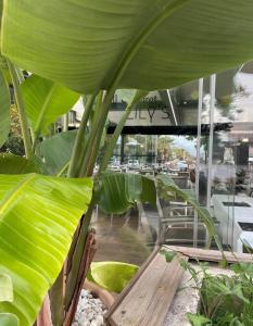 a bench in a restaurant with large green leaves at Studio 28 m2 PORTICCIO Centre in Porticcio