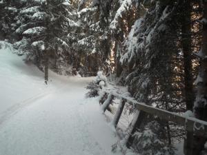 een hek bedekt met sneeuw naast enkele bomen bij Appartements Agnes in Fulpmes