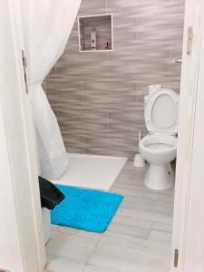 a bathroom with a toilet and a blue rug at Quarto duplo in Gradil