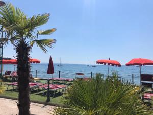 a beach with tables and umbrellas and a palm tree at Maximilian Suites in Trieste