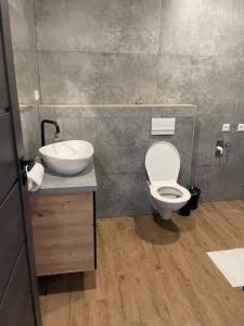 a bathroom with a toilet and a sink at Rado apartments in Jezersko