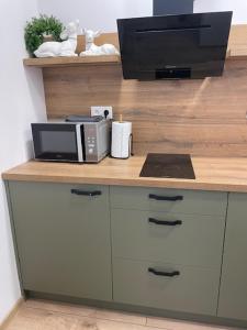 a kitchen with a counter with a microwave and a television at Rado apartments in Jezersko