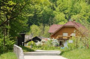 ein Haus auf einer Straße neben einem Wald in der Unterkunft Ferienwohnungen Sigrid & Ferdinand BERGINC in Hohenlehen