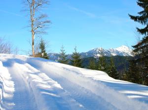 een met sneeuw bedekte helling met bomen en bergen op de achtergrond bij Oberbach in Göstling
