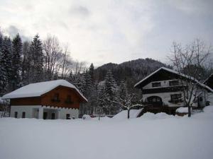 une maison avec de la neige au sol à côté d'un bâtiment dans l'établissement Oberbach, à Göstling