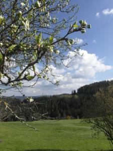 um campo verde com uma árvore em primeiro plano em Pircherhof - Urlaub und Erholung im Troadkost'n em Sankt Kathrein am Hauenstein