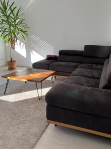 a living room with a couch and a coffee table at Ferien bzw Messewohnung in Sinzheim bei Baden Baden in Sinzheim