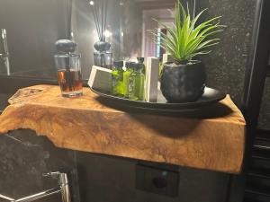 a table with a potted plant on top of it at Al Sagraeto in Chioggia +72 photos