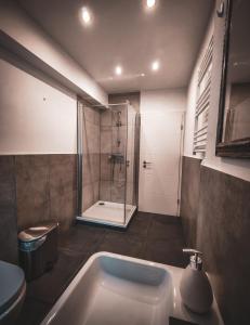 uma casa de banho com um chuveiro e um lavatório. em Feeling Good em Koblenz