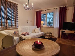 Televízia a/alebo spoločenská miestnosť v ubytovaní Apartament Karpielówka View Od-nowa