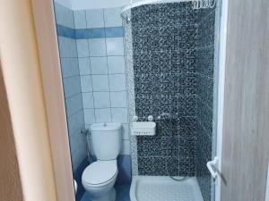 a small bathroom with a toilet and a shower at Calypso Beach Hotel in Paralia Katerinis