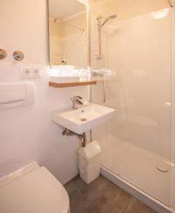 W łazience znajduje się umywalka, toaleta i prysznic. w obiekcie Burghotel Aschau w mieście Aschau im Chiemgau