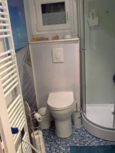 a small bathroom with a toilet and a shower at Heidi`s Ferienhaus in Mittenaar +5 photos