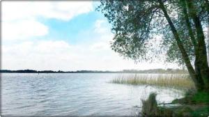 a large body of water with a tree in the foreground at Ferienwohnung Mäckelborg am schönen Woblitzsee in Wesenberg