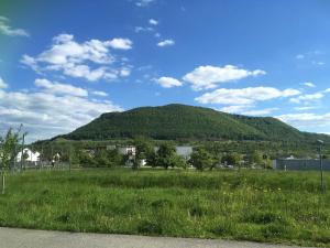 a green mountain in the distance with a green field at Gästehaus Marion in Dettingen an der Erms