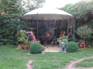 an umbrella in a yard with chairs and plants at Ferienwohnungen Haus Leonore in Stendal