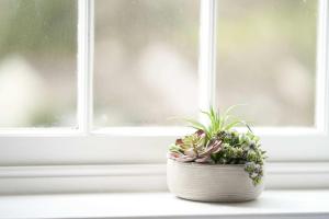 a potted plant sitting on a window sill at The White Hart Hotel in Modbury