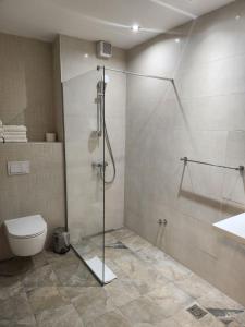 a bathroom with a shower and a toilet at Apartman C437 Aparthotel Vucko Jahorina privatni apartman in Jahorina