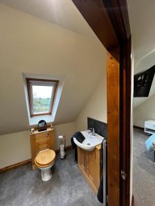 a bathroom with a sink and a toilet and a window at Tewit Castle Adventures in Eryholme