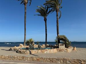 a group of palm trees on a beach with the ocean at Casa Virginia in Los Alcázares