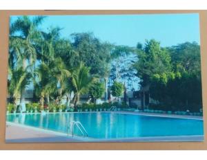 una piscina con palmeras en el fondo en Hotel Sports Club Of Jabalpur, Jabalpur, en Jabalpur