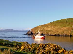 a boat in the water next to a hill at Eask View Dingle - Room Only in Dingle