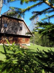 eine alte Holzscheune auf einem Feld mit Bäumen in der Unterkunft Wildererhütte 240 Jahre alt 