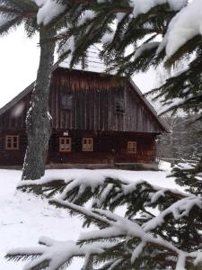 Cabaña de madera con un árbol en la nieve en Wildererhütte 240 Jahre alt 