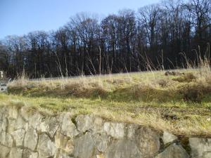 um campo com árvores e uma parede de pedra em Martini Pension Rammert em Großbettlingen