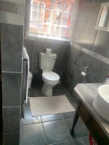 a bathroom with a toilet and a sink at MAM in Mokopane