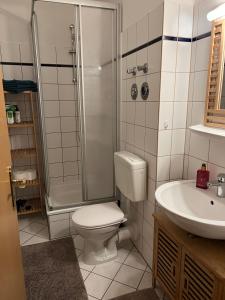 a bathroom with a toilet and a shower and a sink at BELIEBT Zentrales & ruhiges Innenstadtapartment in Halle an der Saale