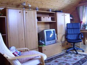 un salon avec une chaise et une télévision dans l'établissement Ferienwohnung Am Heidesee, à Nietleben
