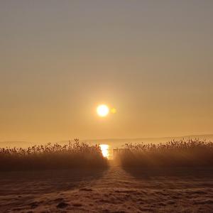 Příroda nedaleko prázdninového domu