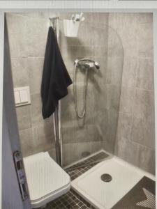 La salle de bains est pourvue d'une douche, de toilettes et d'un lavabo. dans l'établissement Ferienglück unterm Dach, à Poreč