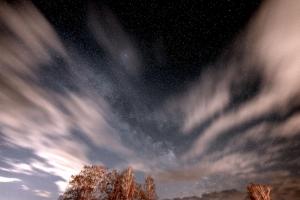 a starry sky with clouds and trees in the foreground at Ralph's Haus am See in Plau am See +32 photos