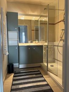een badkamer met een douche, een wastafel en een spiegel bij Appartement lumineux terrasse piscine in Cugnaux