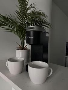 two cups sitting on a counter with a potted plant at MEB Loft in Darby