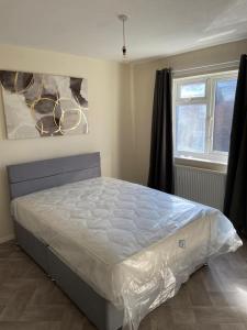 Легло или легла в стая в 14 Wallcourt Road