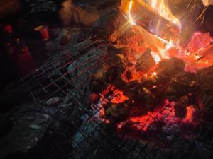 a grill with meat and flames on it at Wood Locs Farm Stay & Campsite in Darjeeling