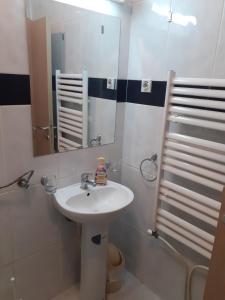 a bathroom with a sink and a mirror at Ballet apartament - 2 in Skopje