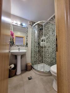 a bathroom with a shower and a sink and a toilet at Meltemaki in Mouzákion