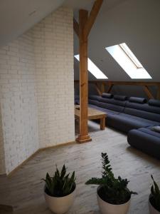 a living room with blue couches and potted plants at Konarskiego Apartments in Słupsk