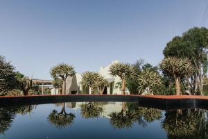 una piscina de agua con árboles y una casa en Kokerboom House, en Vanrhynsdorp