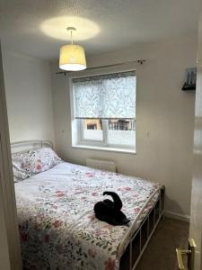 a black cat laying on a bed in a bedroom at Cosy family 3-bedroom Home in Simpson