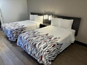 En eller flere senge i et værelse på Red Roof Inn Wildwood, FL - The Villages