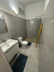 La salle de bains est pourvue de toilettes, d'un lavabo et d'une douche. dans l'établissement T2 à Convenance, à Baie-Mahault