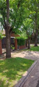 two trees in a park next to a building at La casita de Aitana in Pergamino