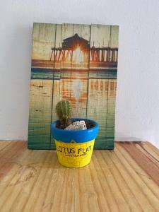 un cactus dans un pot jaune devant un tableau dans l'établissement Lotus Flat - Canoa Quebrada, à Aracati